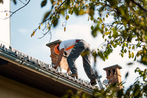 Best Local Roofing Companies  in Audubon, NJ